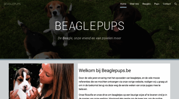 beaglepups.be