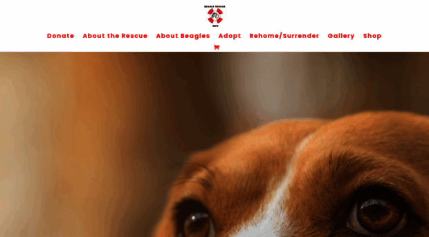 beaglerescuensw.org.au