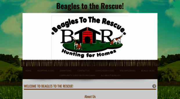 beaglestotherescue.org