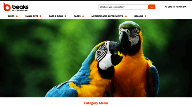 beaksinternational.com