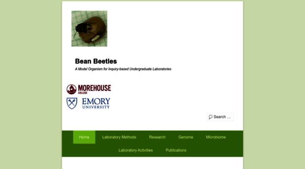 beanbeetles.org