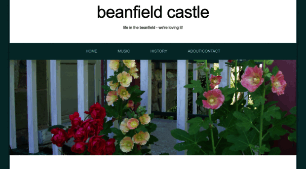 beanfieldcastle.net