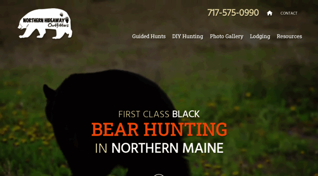 bear-hunting-maine.com