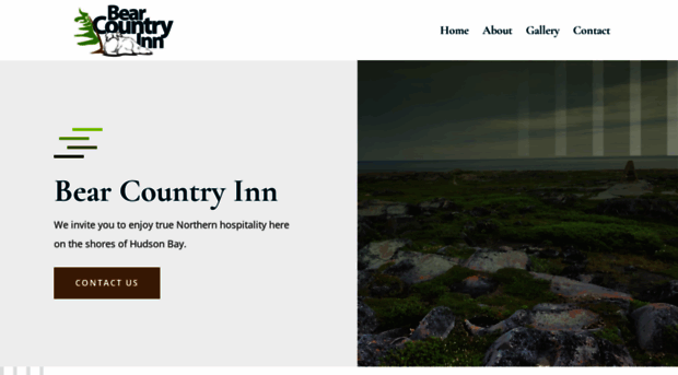 bearcountryinn.com