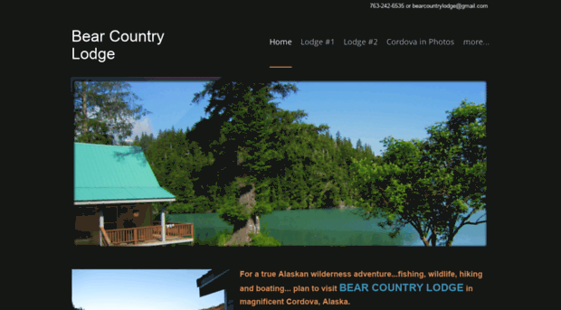 bearcountrylodge.net