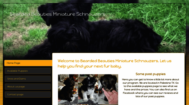 beardedbeautiesminiatureschnauzers.simdif.com