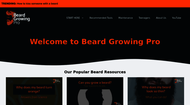 beardgrowingpro.com