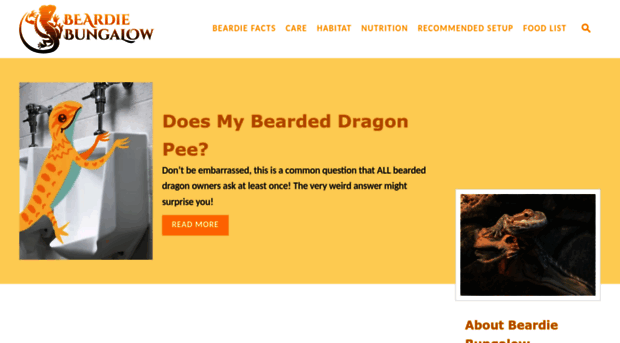 beardiebungalow.com