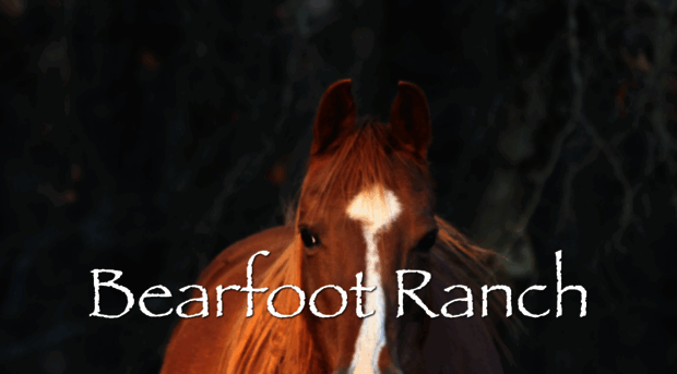 bearfootranch.org