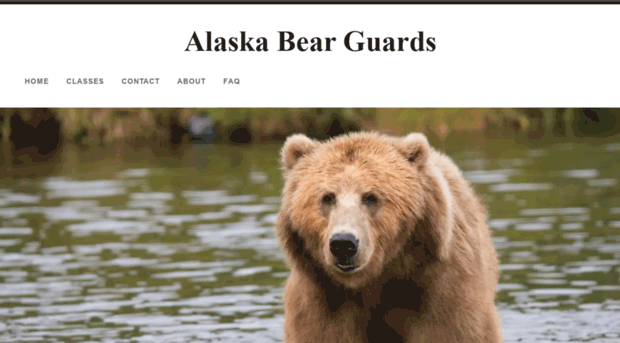 bearguards.com