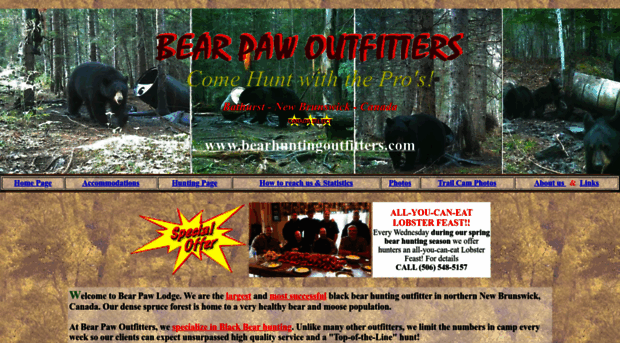 bearhuntingoutfitters.com