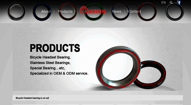 bearing-maxton.com