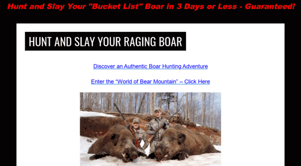 bearmountainquest.com