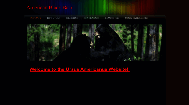 bearofamerica.weebly.com