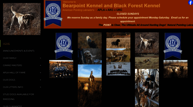 bearpointkennel.com