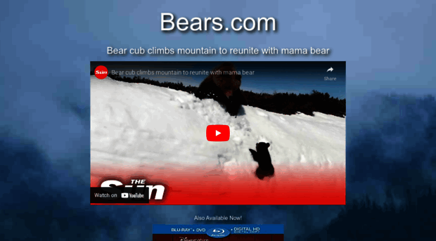 bears.com