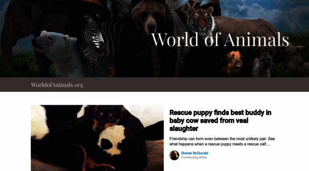 bears.worldofanimals.org