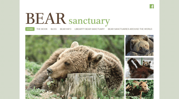 bearsanctuary.com