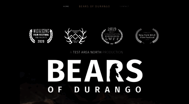 bearsofdurango.com