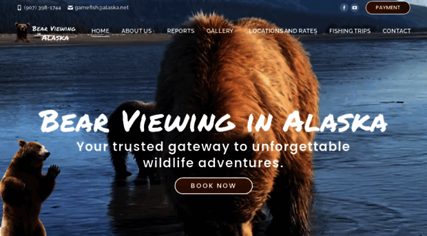 bearviewinginalaska.com