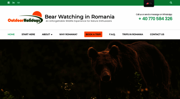 bearwatching.ro