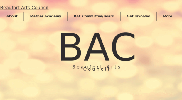 beaufortcountyarts.com