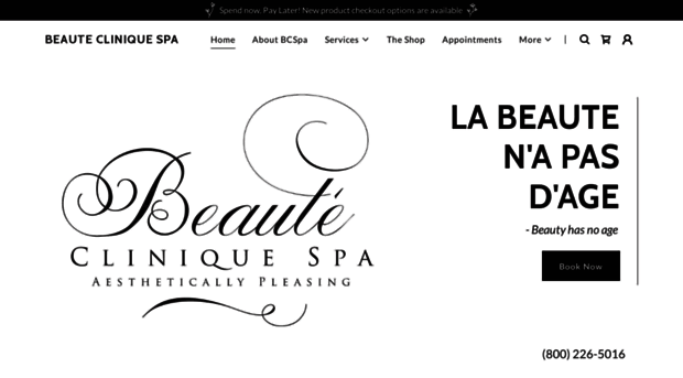 beautecliniquespa.com