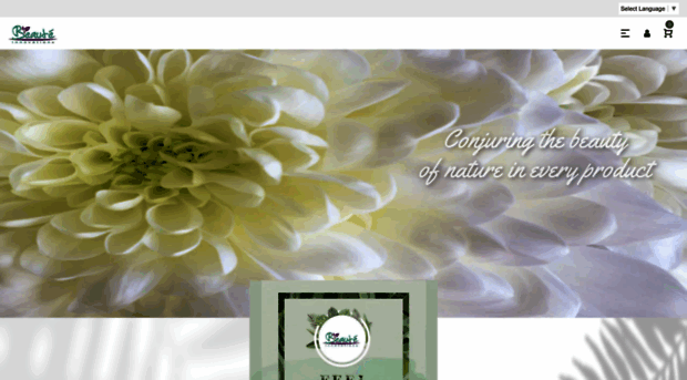 beauteinnovations.com