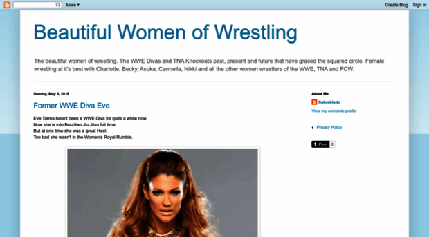 beautiful-wrestling.blogspot.com