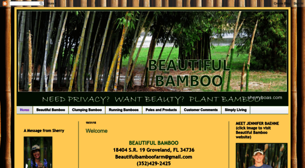 beautifulbamboo.blogspot.com