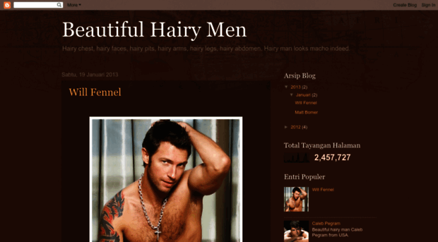 beautifulhairymen.blogspot.fr