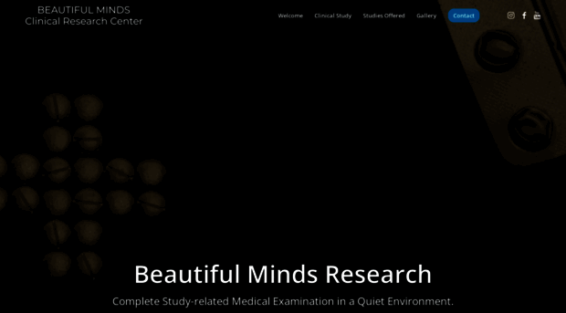 beautifulmindsresearch.com