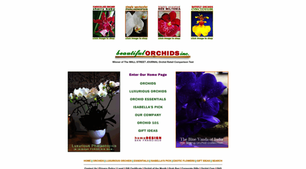 beautifulorchids.com