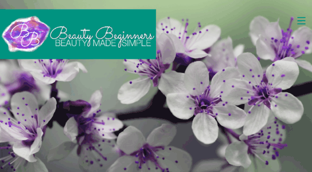 beautybeginners.com