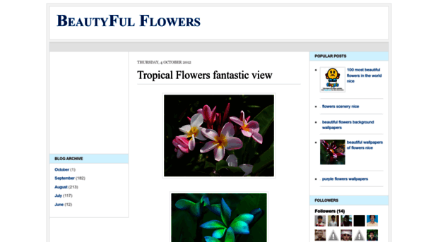 beautyfulflowers.blogspot.in