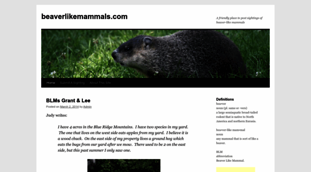 beaverlikemammals.com