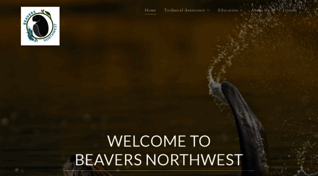 beaversnw.org