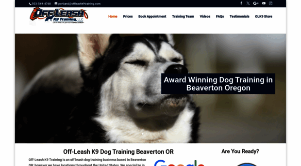 beavertondogtrainers.com