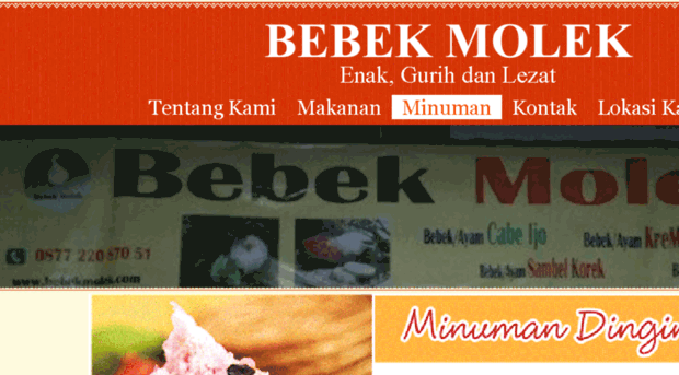 bebekmolek.com