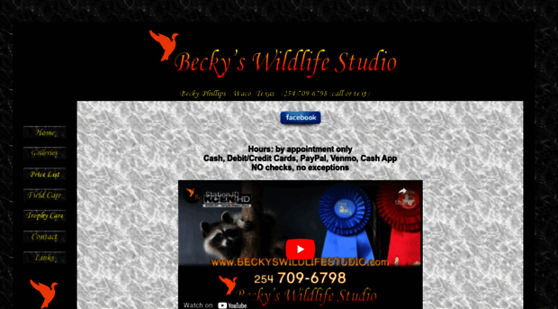 beckyswildlifestudio.com