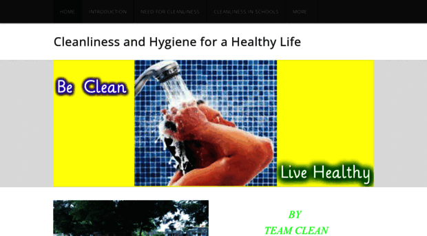 becleanbehealthy.weebly.com