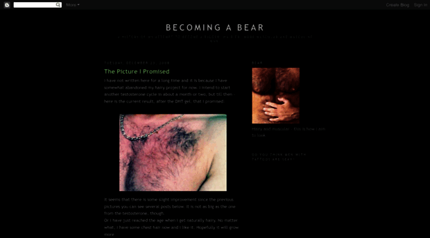 becomingabear.blogspot.com