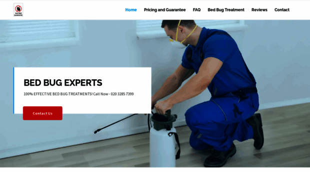bed-bug-experts.co.uk