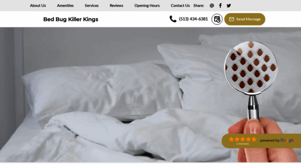 bed-bug-killer-kings.ueniweb.com