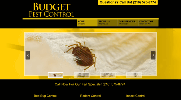 bedbugcontrolcleveland.com