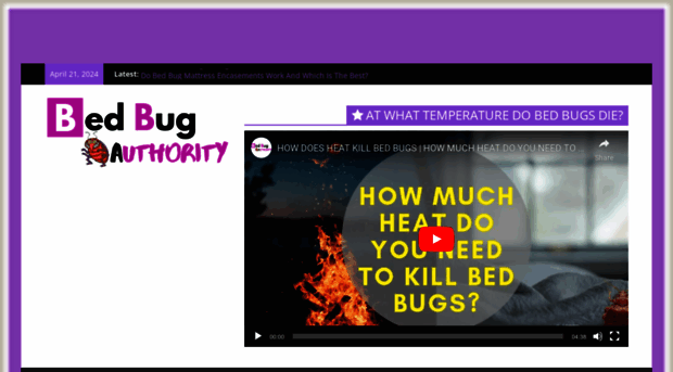 bedbugkillerauthority.com