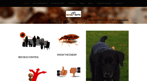 bedbugmutts.com