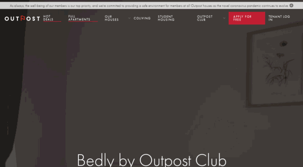 bedly.com