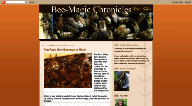 bee-magic.blogspot.com