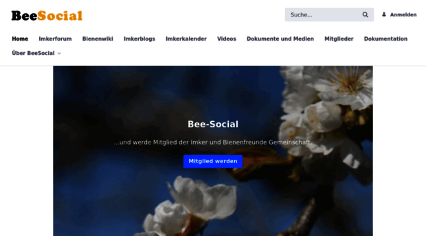 bee-social.org